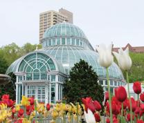 Brooklyn Botanic Garden: Seasonal Highlights Virtual Tour